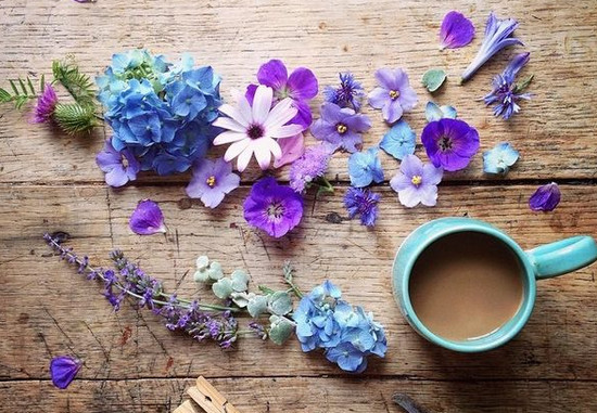 什么花草茶是清肠通便的 润肠通便的花草茶