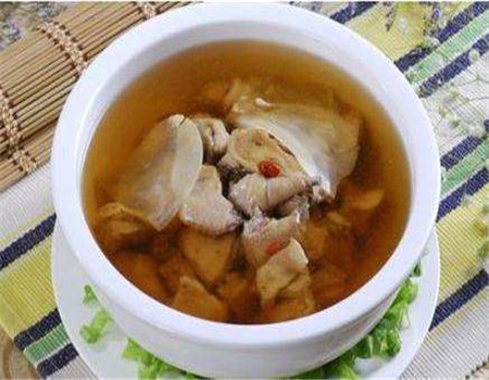 女人煲汤必须三种炖鸽子汤最营养的做法
