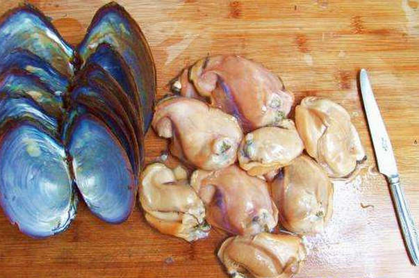 河蚌肉的做法 河蚌肉怎么做才能烂
